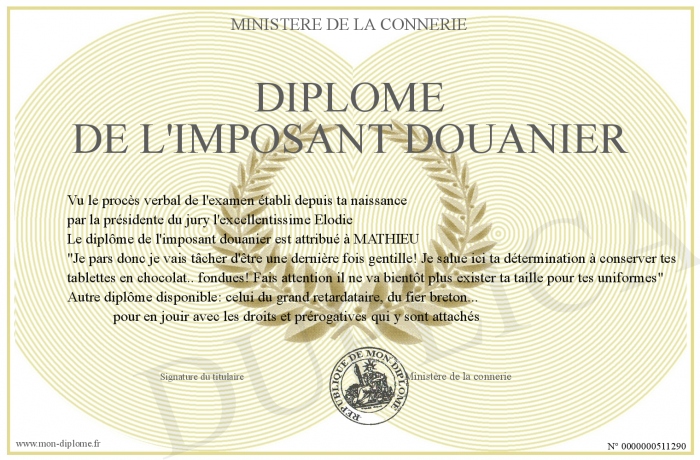 diplome pour etre douanier